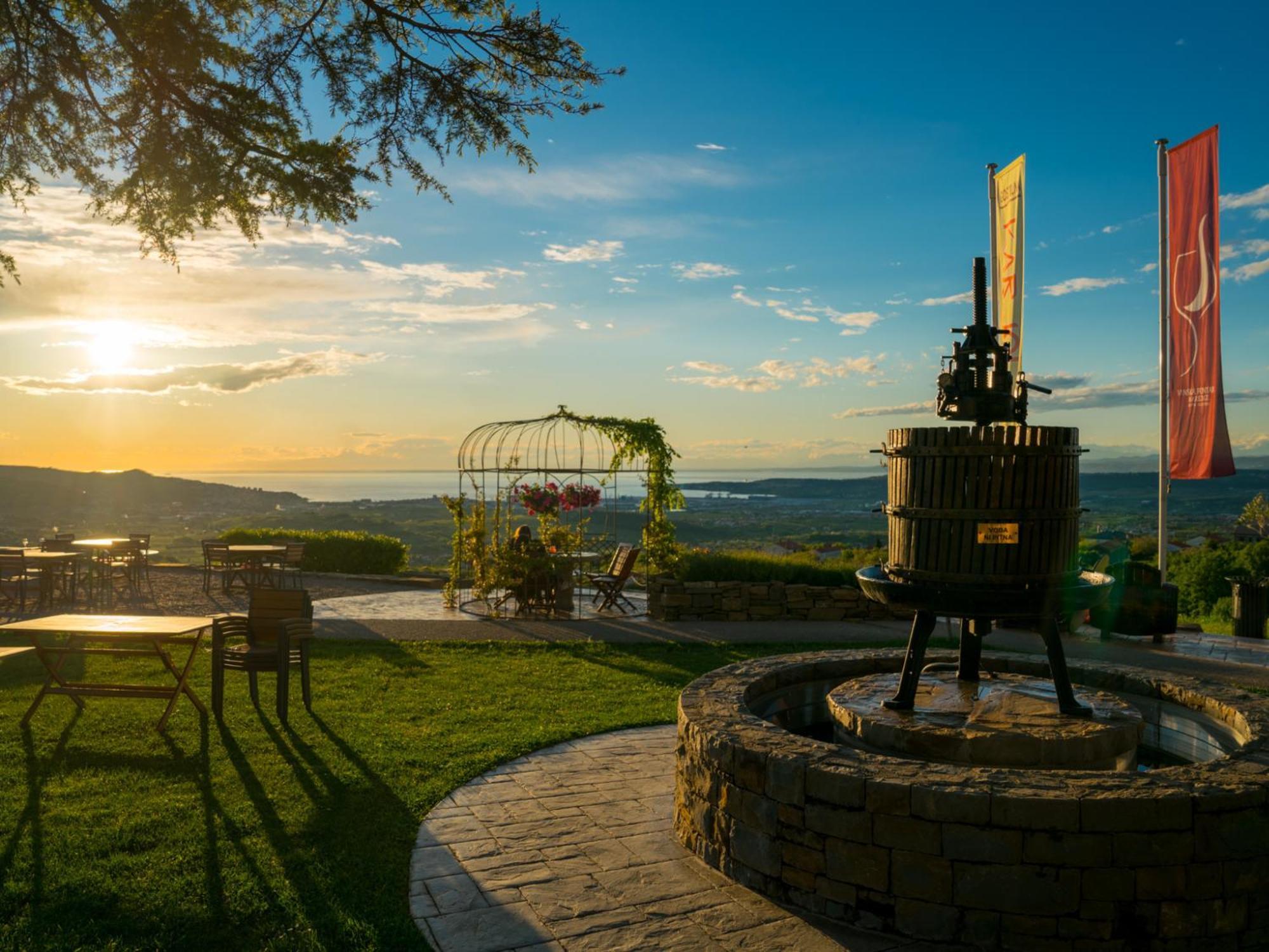 Wine Paradise - Glamping Resort Marezige Εξωτερικό φωτογραφία