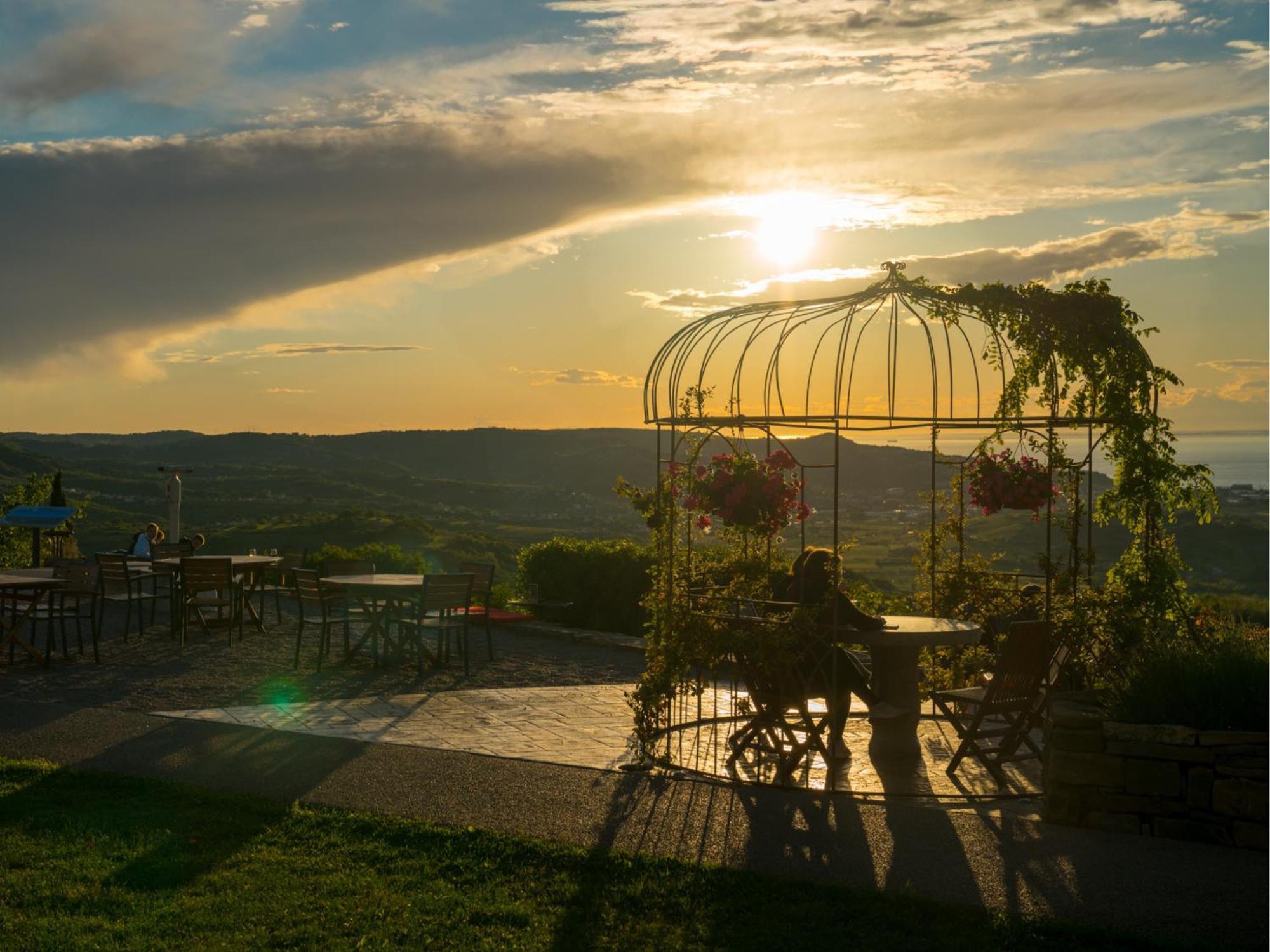 Wine Paradise - Glamping Resort Marezige Εξωτερικό φωτογραφία