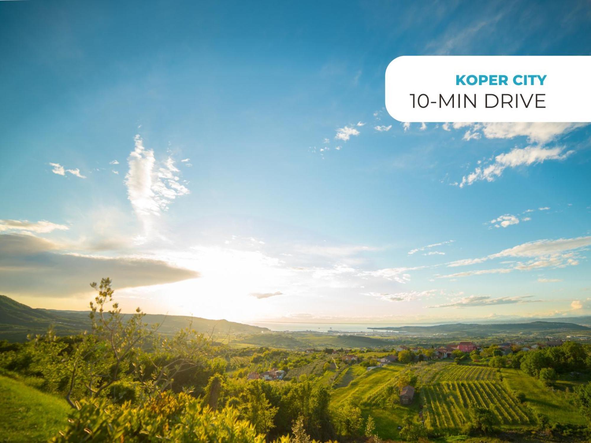 Wine Paradise - Glamping Resort Marezige Εξωτερικό φωτογραφία
